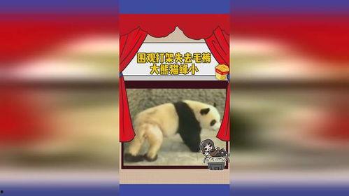 缘分娱乐吃瓜
